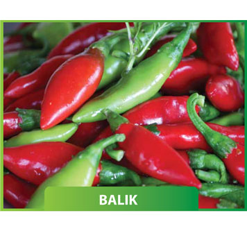 Biber Balık Çupra