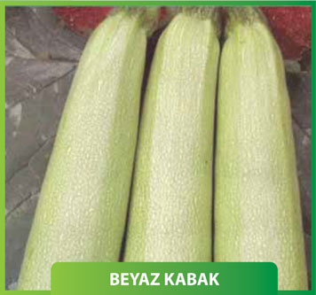 Beyaz Kabak