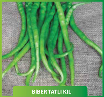 Tatlı Kıl