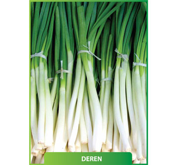 Deren