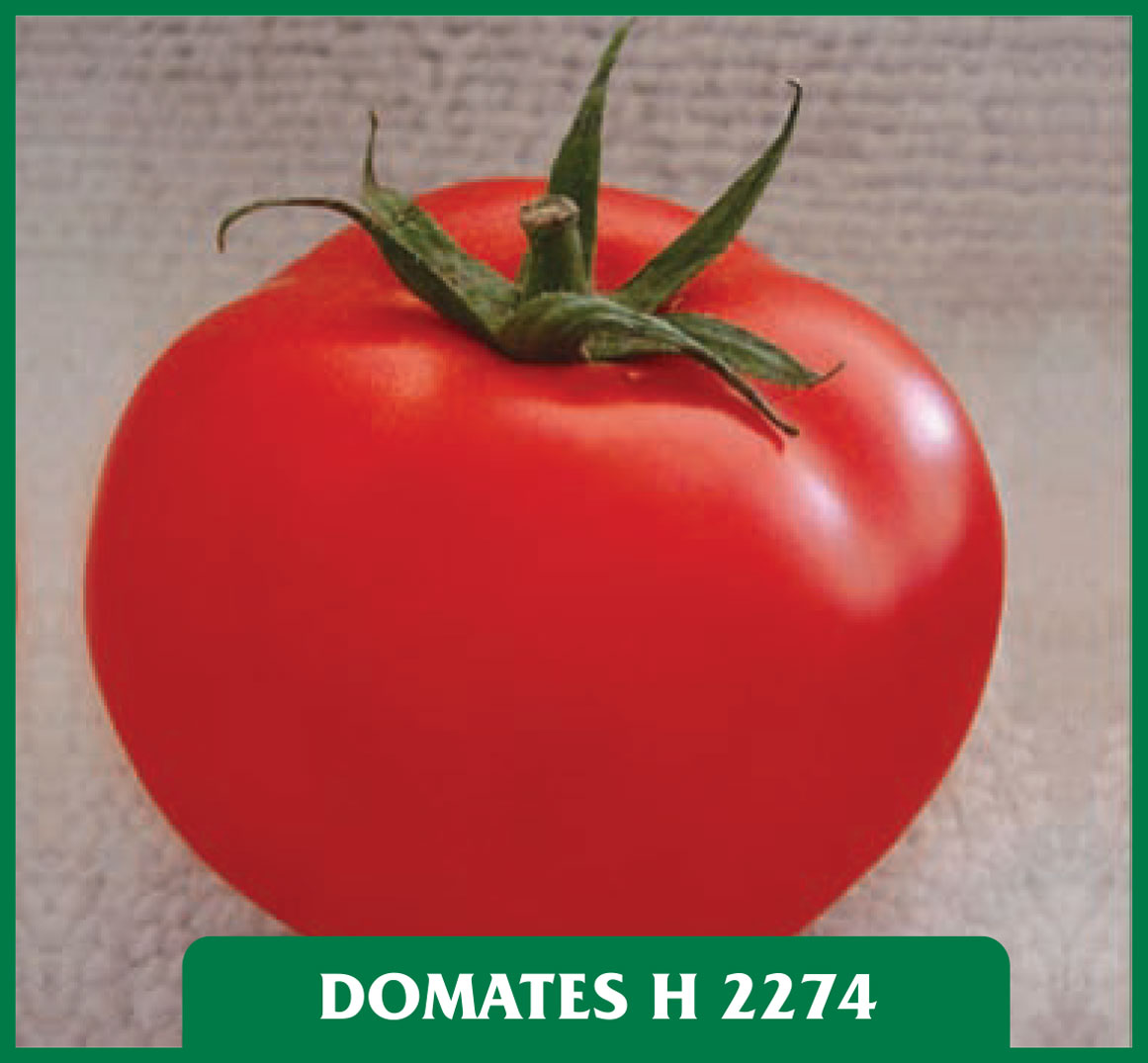Domates H2274