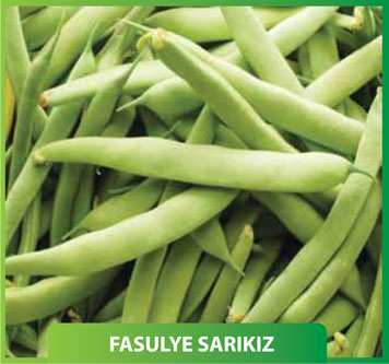 Fasulye Sarıkız