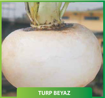 Turp Beyaz