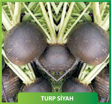 Turp Siyah İnci